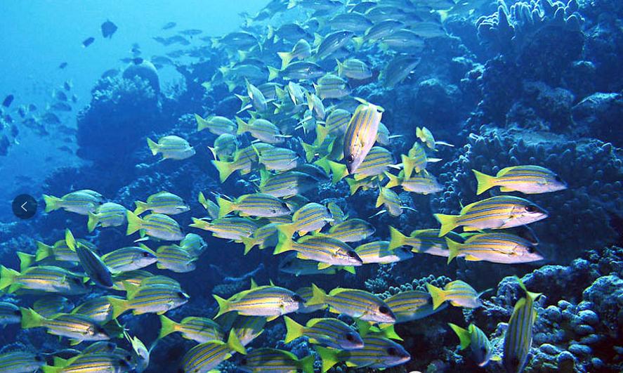 新加坡沙滩旅游景点,新加坡十个必去的旅游景点