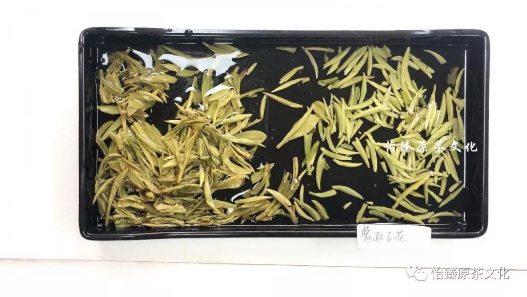 茶叶好不好看,茶叶渣如何辨别茶的好坏