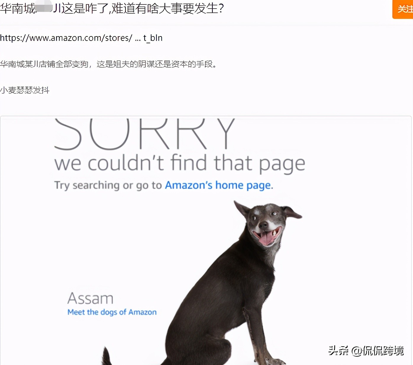 亚马逊为什么突然下跌,亚马逊上涨逻辑