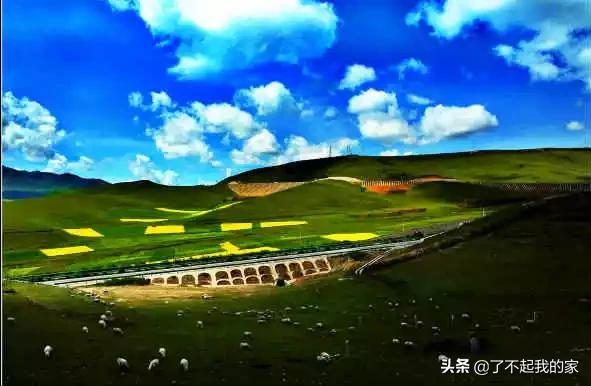 洛阳特产必买清单一览表,中国各地特产一览表