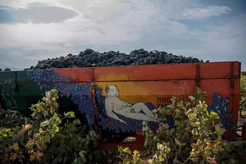 法国葡萄园干活,在法国上班