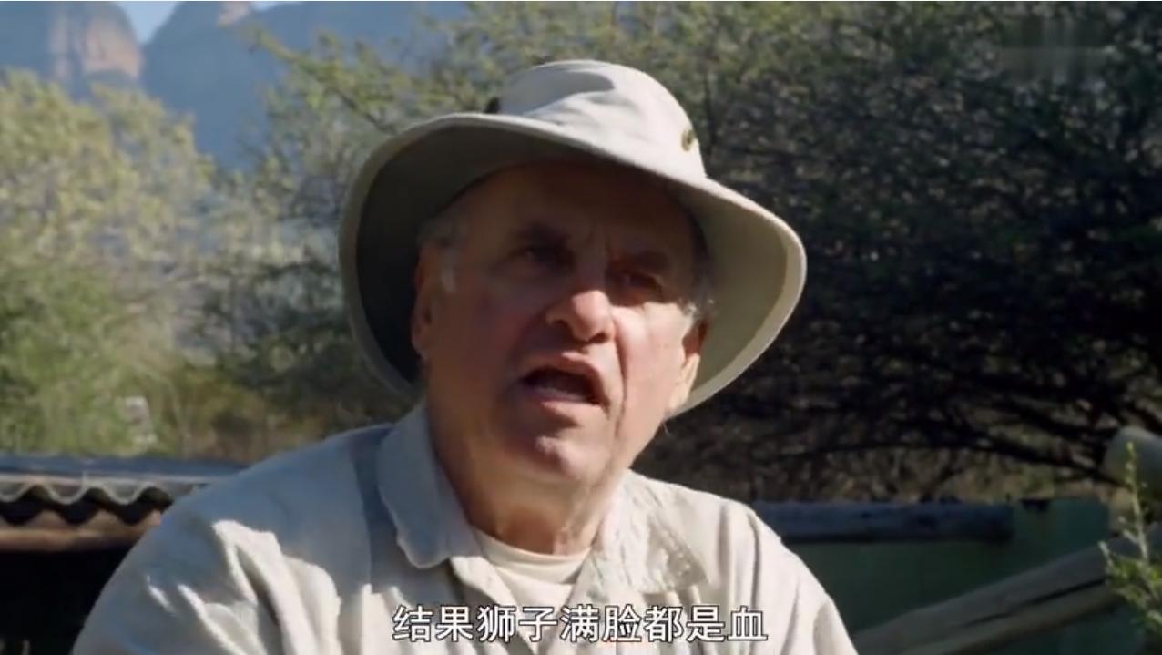 永不服输的蜜獾,曾经有一个保护区饲养了两只,后来怎么样了?