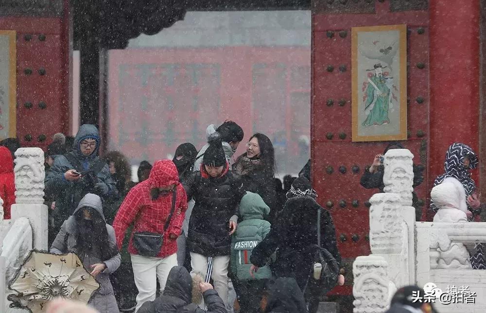 北京迎初雪9只熊猫,北京喜迎初雪去北京动物园看熊猫