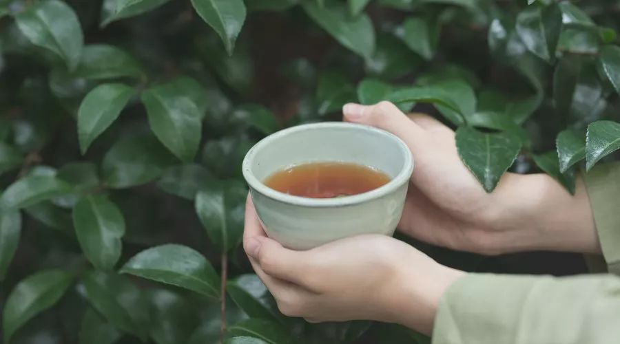 老成都盖碗茶茶艺表演的解说词,老成都盖碗茶茶艺