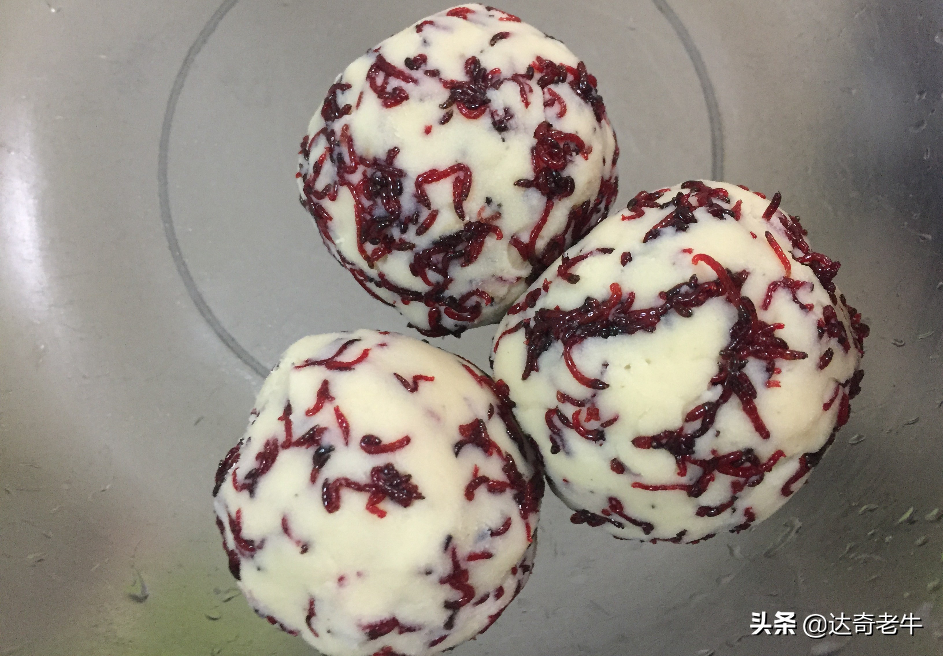 秋季黑坑红虫拉饵配方,黑坑红虫拉饵配什么饵料最好用