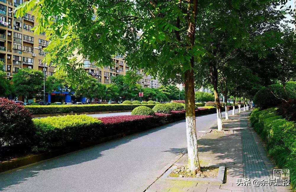 临平未来大动作,临安将有大动作