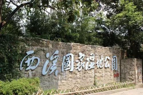 杭州旅游十大攻略必去景点有哪些,杭州旅游攻略必去十个景点