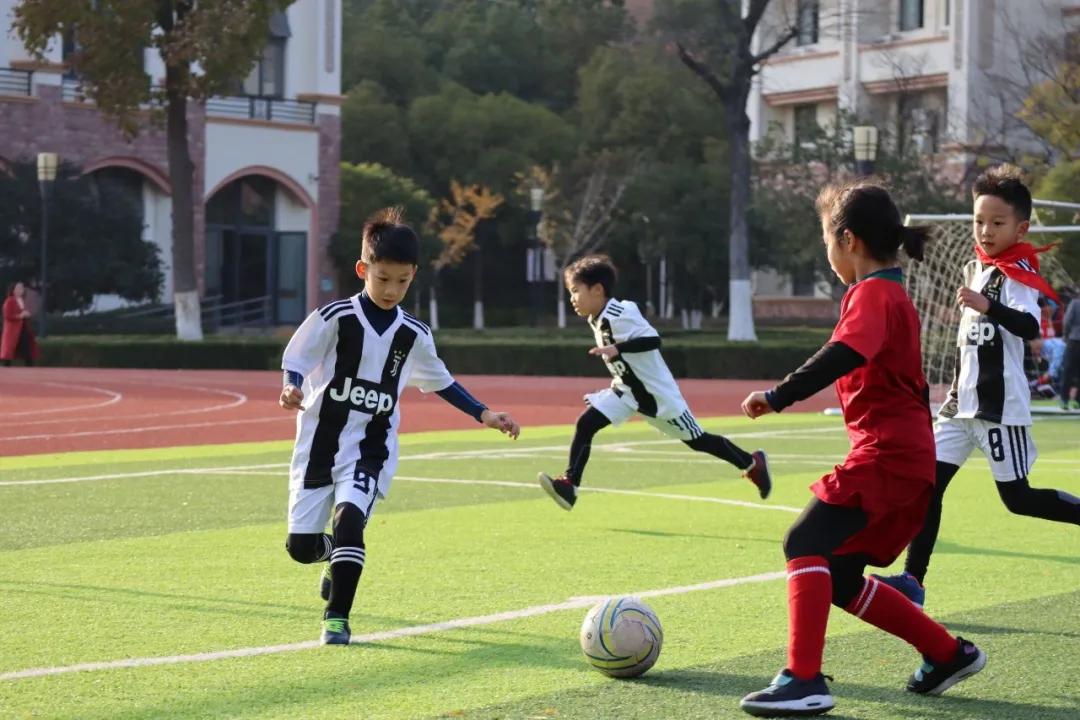 南京河西名校,南京河西中最好的学区