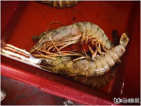 大马美食攻略,大马地方美食