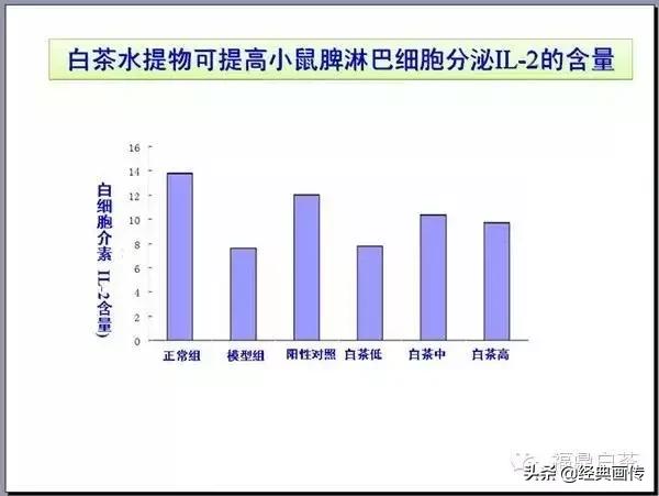 刘仲华白茶功效,刘仲华谈福鼎白茶