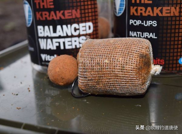 欧洲疫情催生钓鱼热？名企推新手套装钓大鲤鱼