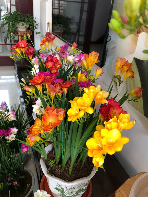 5种花香香水,哪种香水花最好最好闻