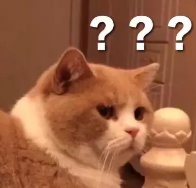 女子带照片扯结婚证被拒绝,女子自带照片扯结婚证被拒