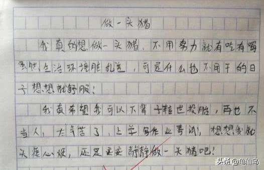 我的梦想是当一名医生小学生作文,小学作文我的理想是做一坨鸡屎