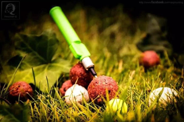 英国钓鲤鱼装备,欧洲钓鲤鱼的方法