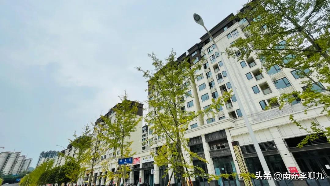 南充市嘉陵区白马新城,嘉陵白马新城发展得如何