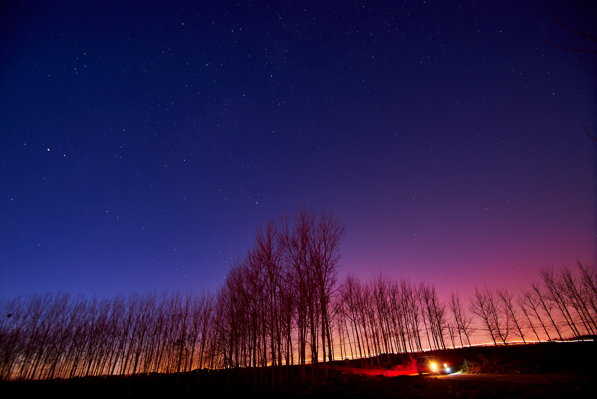 冷门照相机,冷门相机经典镜头