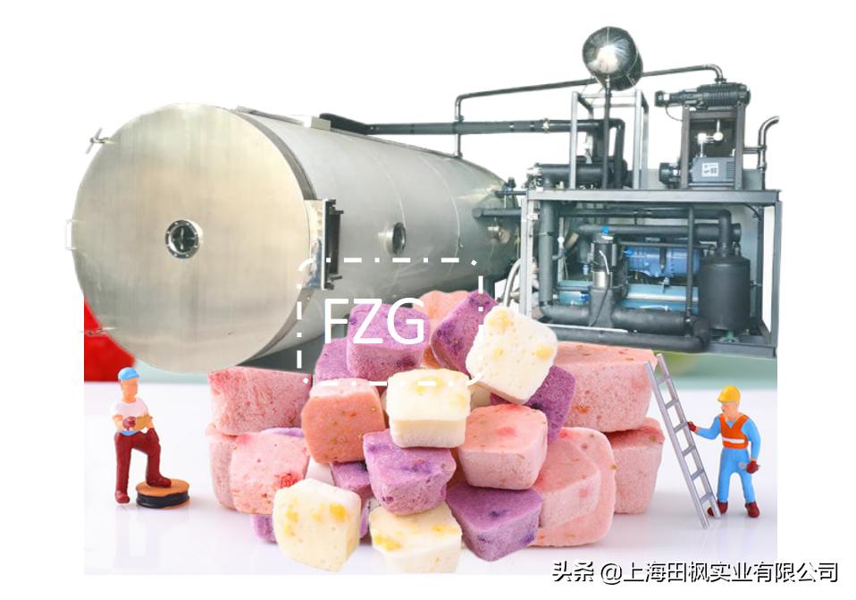 贵阳酸奶块冻干机原理,冻干酸奶块全套设备