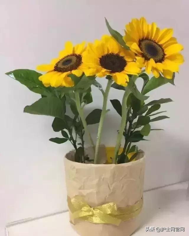 护士怎样上夜班,护士上夜班怎么才能轻松度过