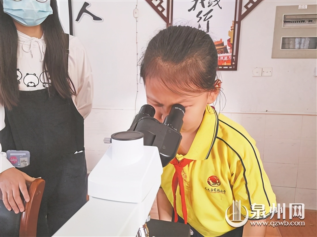 “生态环境宣传进校园”系列活动走进丰泽区见龙亭实验小学显微镜下看霉菌学习水污染治理