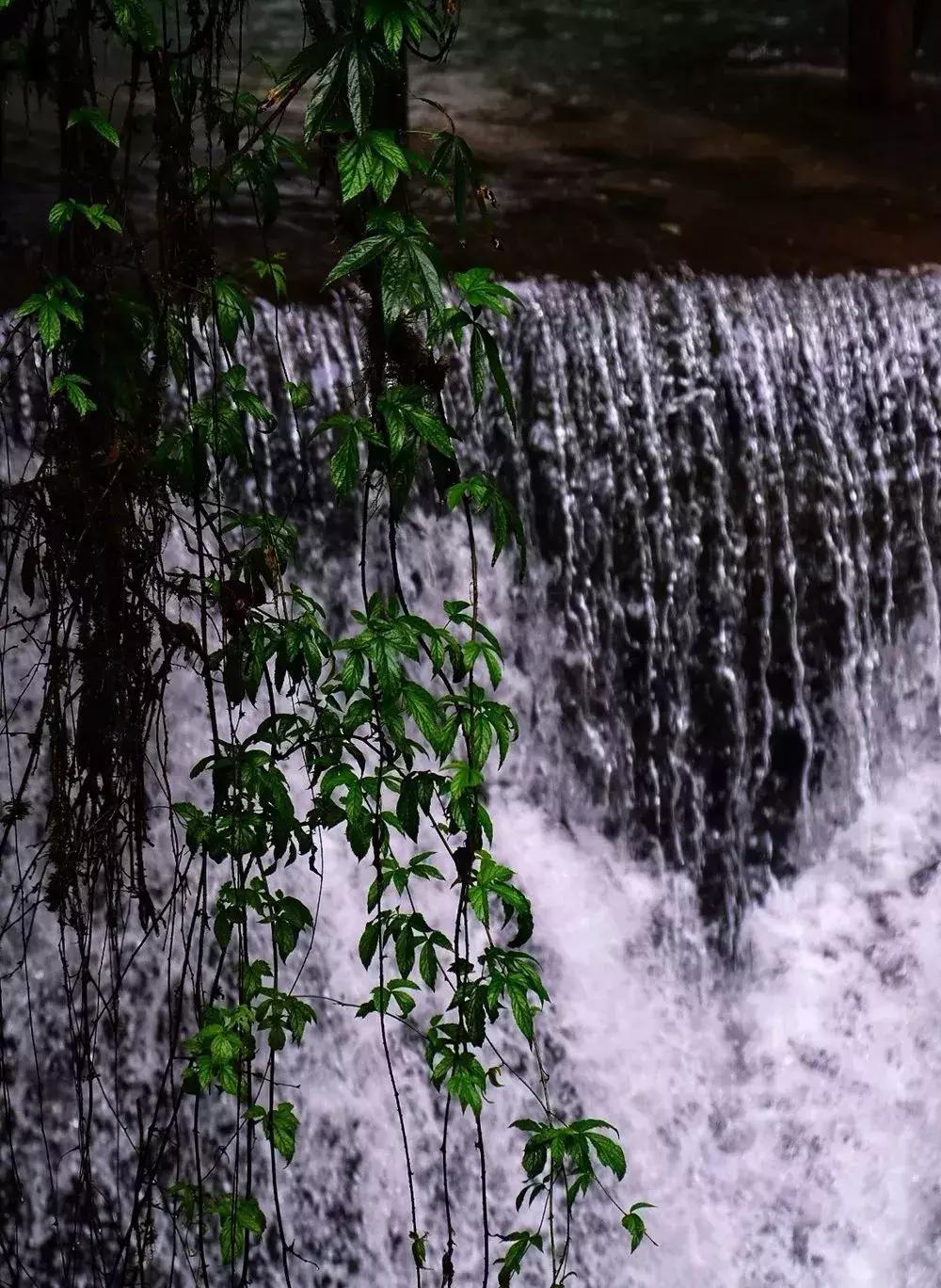 青城山隐居民宿幽悟原宿,睡进乡野民宿