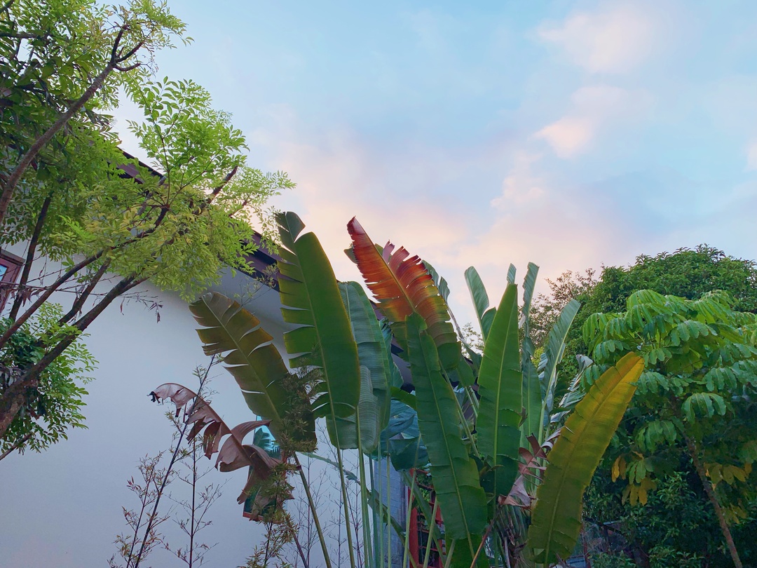 萌娃出行指南,省钱亲子旅行攻略