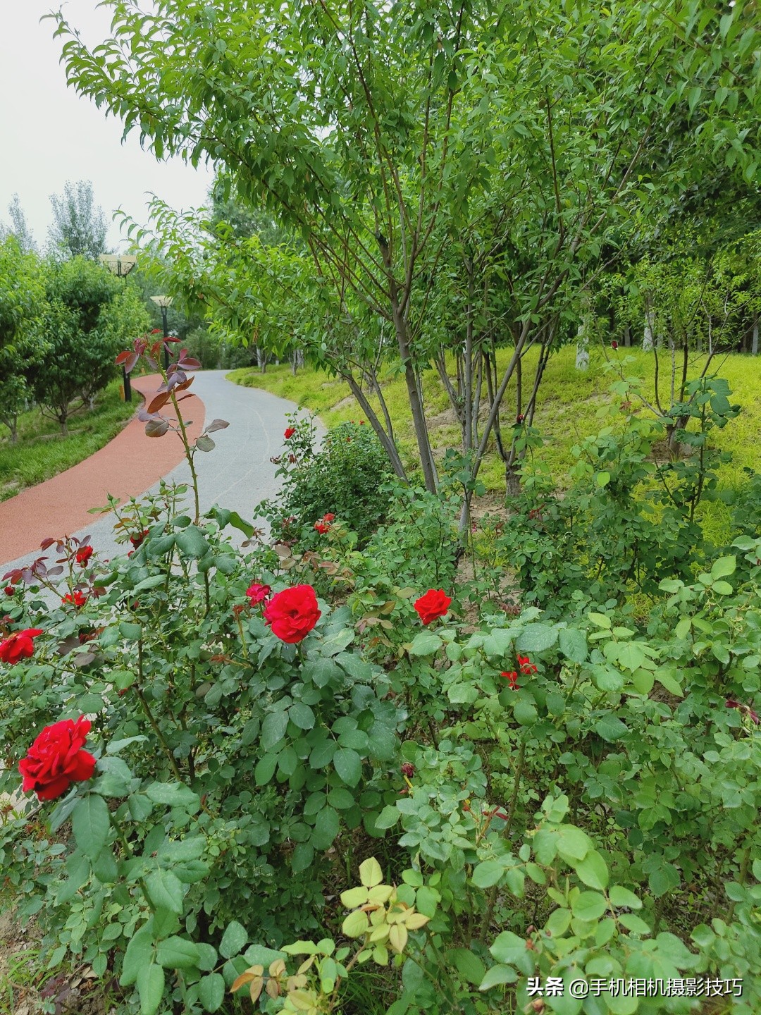 为什么大部分手机不使用长焦镜头,手机的长焦镜头变焦时会动吗