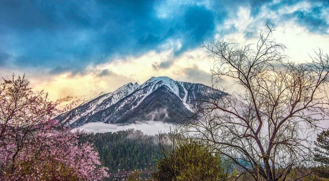 冬日的西藏才是人世间最美的天堂,西藏朝圣路上的美景