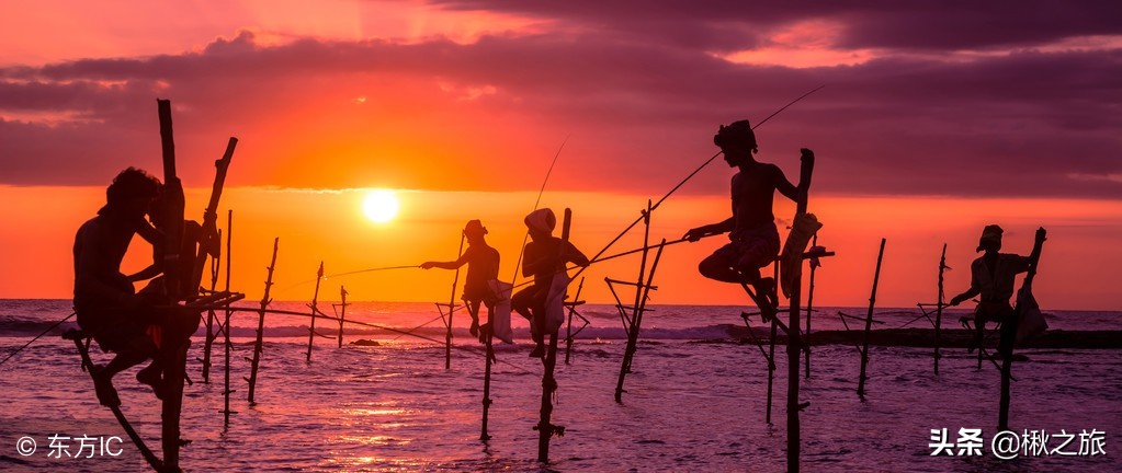 街边的一张纸，藏了一个斯里兰卡