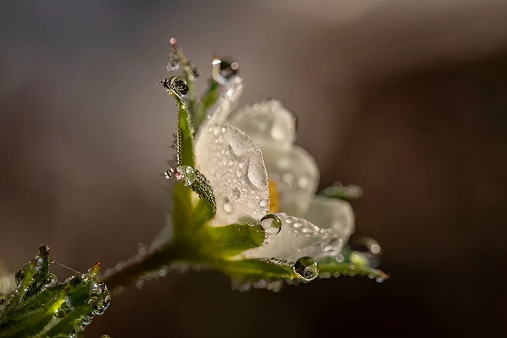 中医下雨天有五点要注意,下雨天适合看中医吗