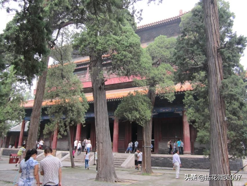 三孔孔府孔庙孔林一日游,孔府与孔庙孔林并称三孔