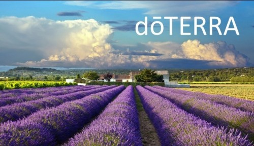 多特瑞薰衣草精油祛痘印,多特瑞薰衣草精油怎么使用