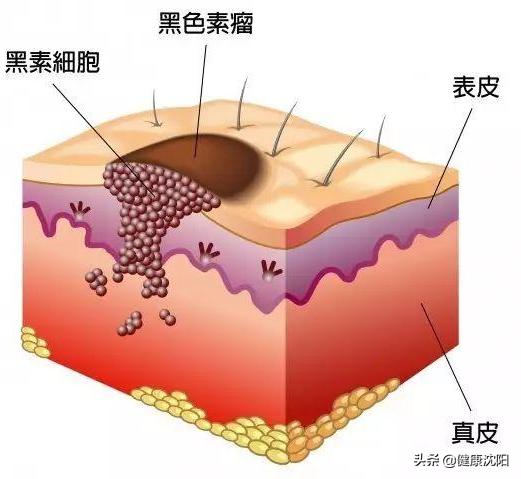 健康科普女性问题,健康科普堂对女性的影响