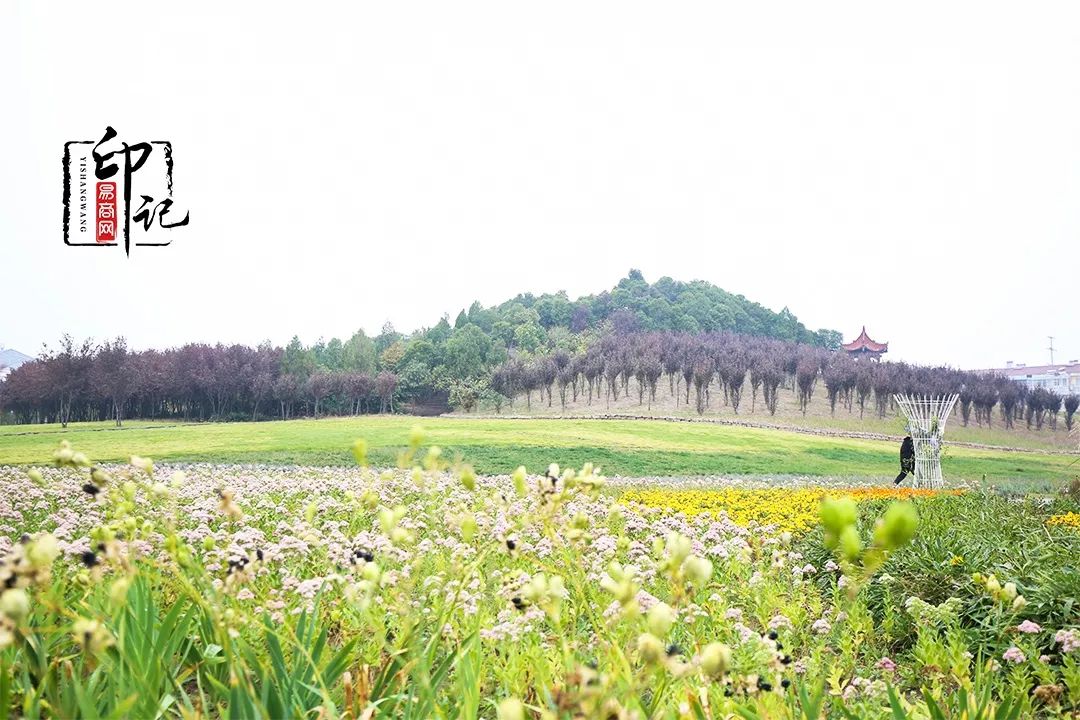 商丘师范学院是商丘最好的大学吗,商丘师范学院被称为豫北小清华