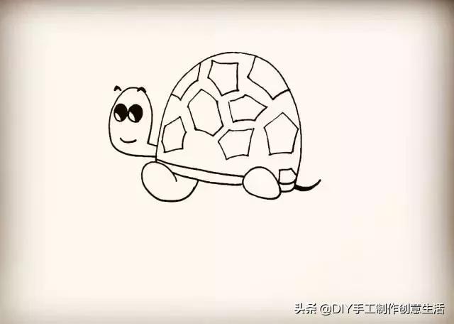 怎么画小乌龟简笔画图片,怎么画简笔画小乌龟