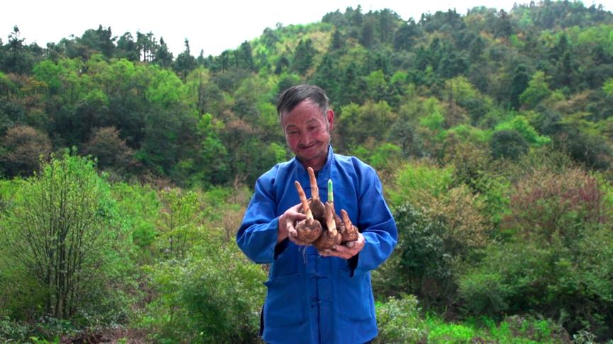 缇庡搲浜戝崡瑙嗛,缇庡搲浜戝崡鍓х収