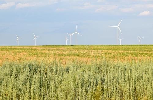 未来5年大学哪些专业就业有保障,今年大学专业新添了哪10种专业