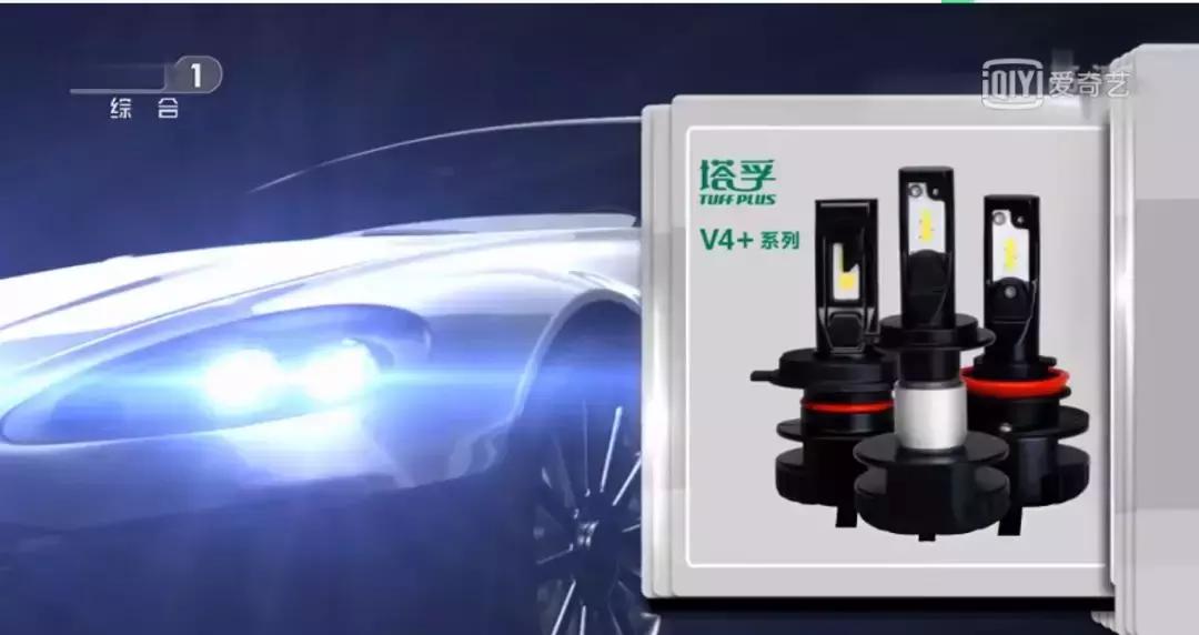 听风者资本论,听风者成王败寇认赌服输