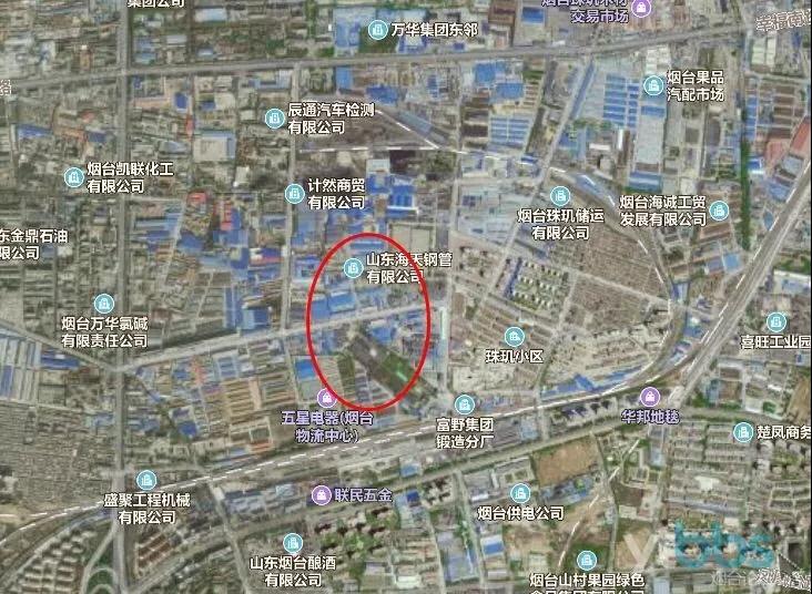 昨日珠玑少人识，今朝变身摇钱树！