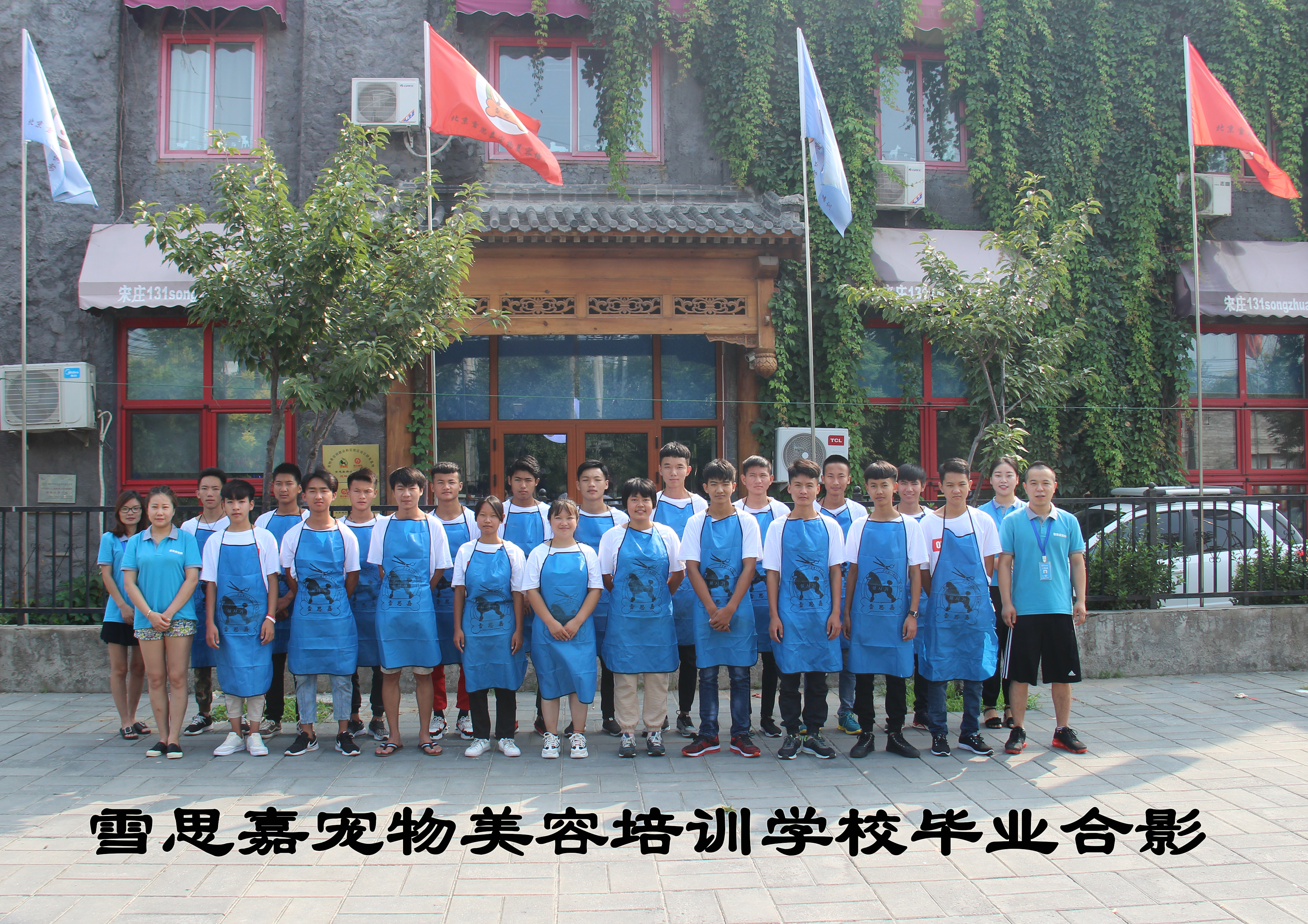 成都宠物美容培训学校,哪里有正规的宠物美容培训学校