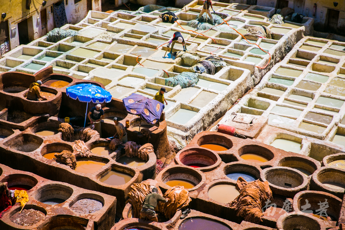 非洲这个城市这么臭,游人却每天排队参观