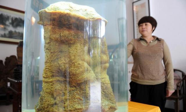 太岁为什么能价值百万,太岁到底是个什么玩意