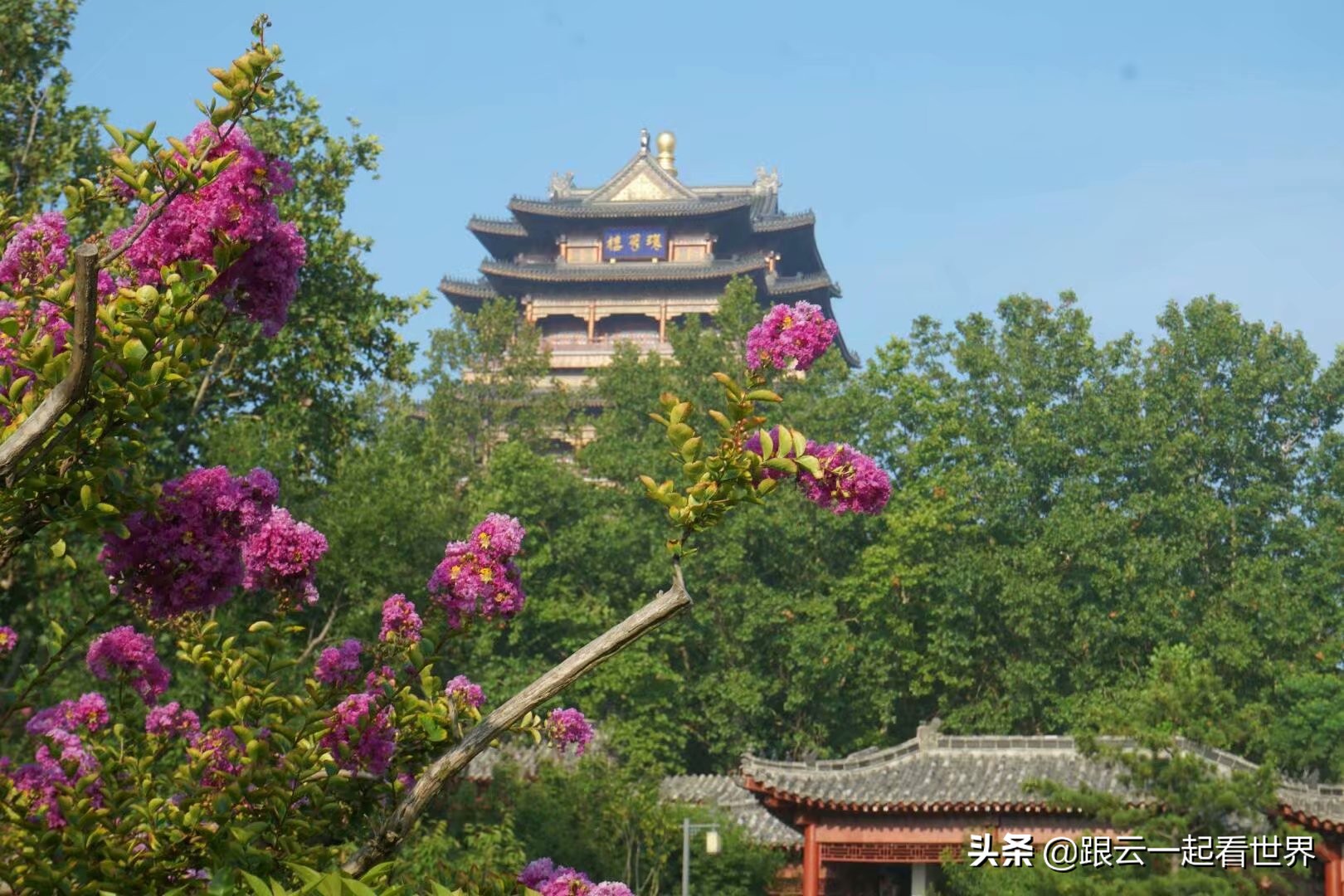 渤海湾赶海一日游,带你一起去看海威海之旅