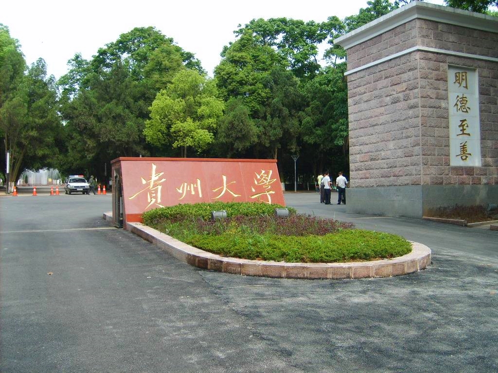 快讯！贵州本科一批投档线公布：多所高校遇冷，贵州大学519分