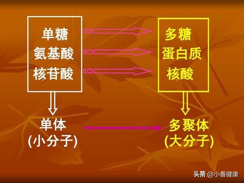 乙肝taf治疗效果,乙肝nas治疗是什么意思