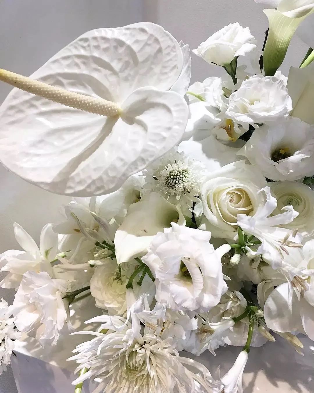 家里要有氛围感什么花比较好,家里高级的花