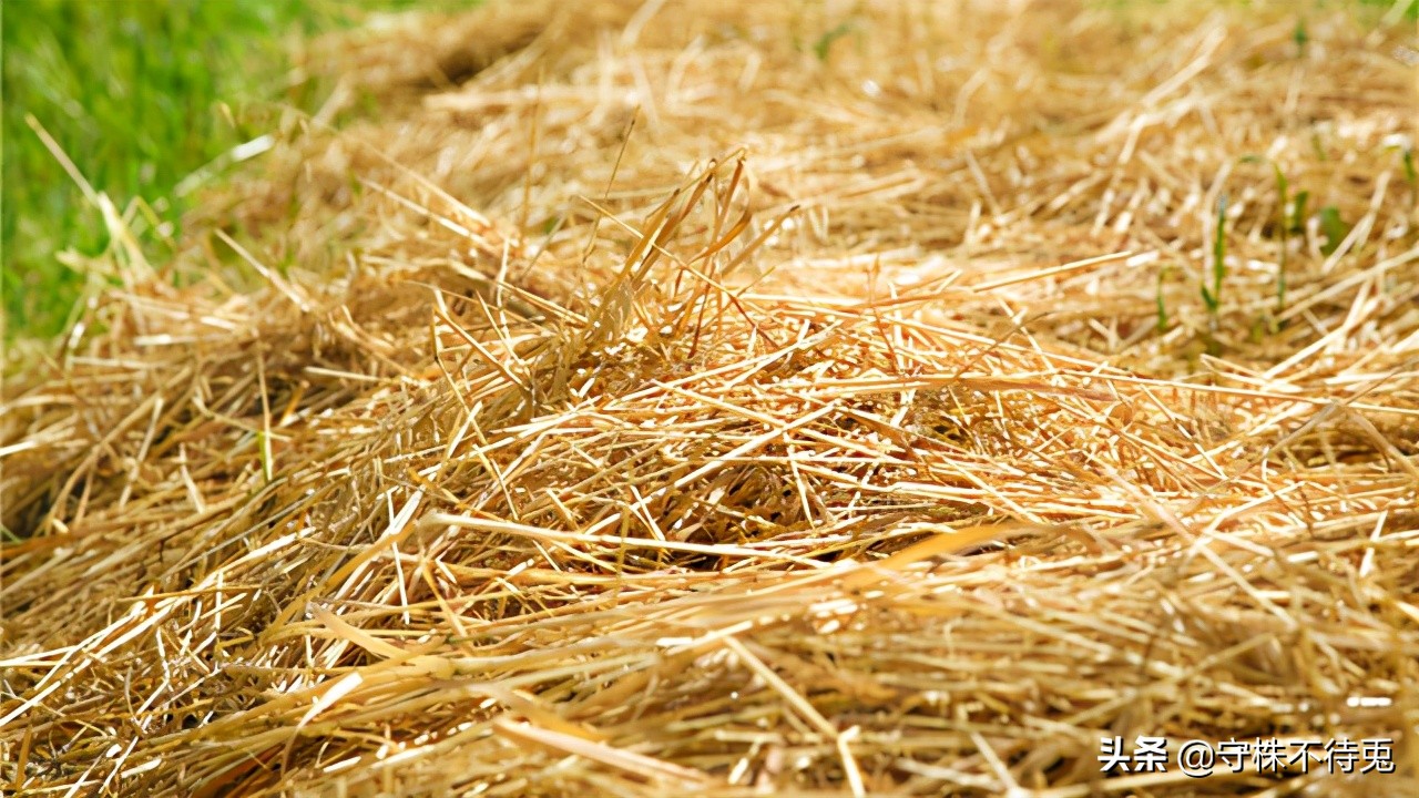 21个冷知识,23个有趣的冷知识