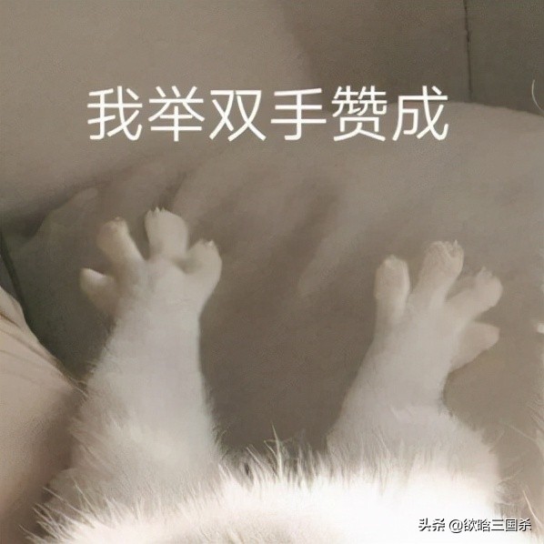 三国杀闪电劈曹操,三国杀一把闪电劈两次