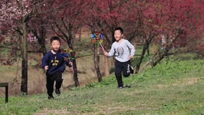 好嗨“游”（11）|这一片早樱还不去赏，错过又得等一年