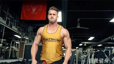 为什么有些人手臂肌肉比较明显,如何快速的把手臂肌肉练壮